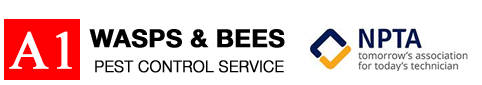 Bee Removal Southend